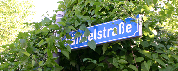 Apartment Zimmer in Leipzig - Die Hähnelstraße